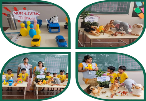 Teaching kindergarteners about living and non-living things is an exciting way to introduce them to the world of science.