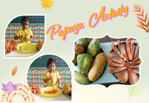 Papaya is one of the native tropical Indian fruit. It is necessary to teach the goodness found in papaya and the ways of eating it.