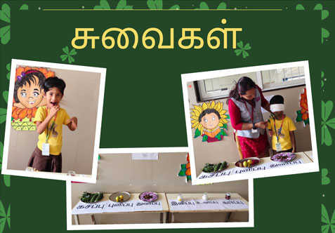 இன்று சுவைகள் பற்றி மழழையர் பிரிவு குழந்தைளுக்கு செயல்பாடுகள்  வழியாக கற்பிக்கபட்டது.