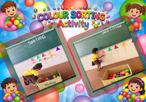 The Colour Sorting activity helps children identify and recognize different colours by observing, matching, and naming the colours correctly. It also develops colour sorting skills by encouraging children to group objects based on the same colour, helping them understand classification and comparison.